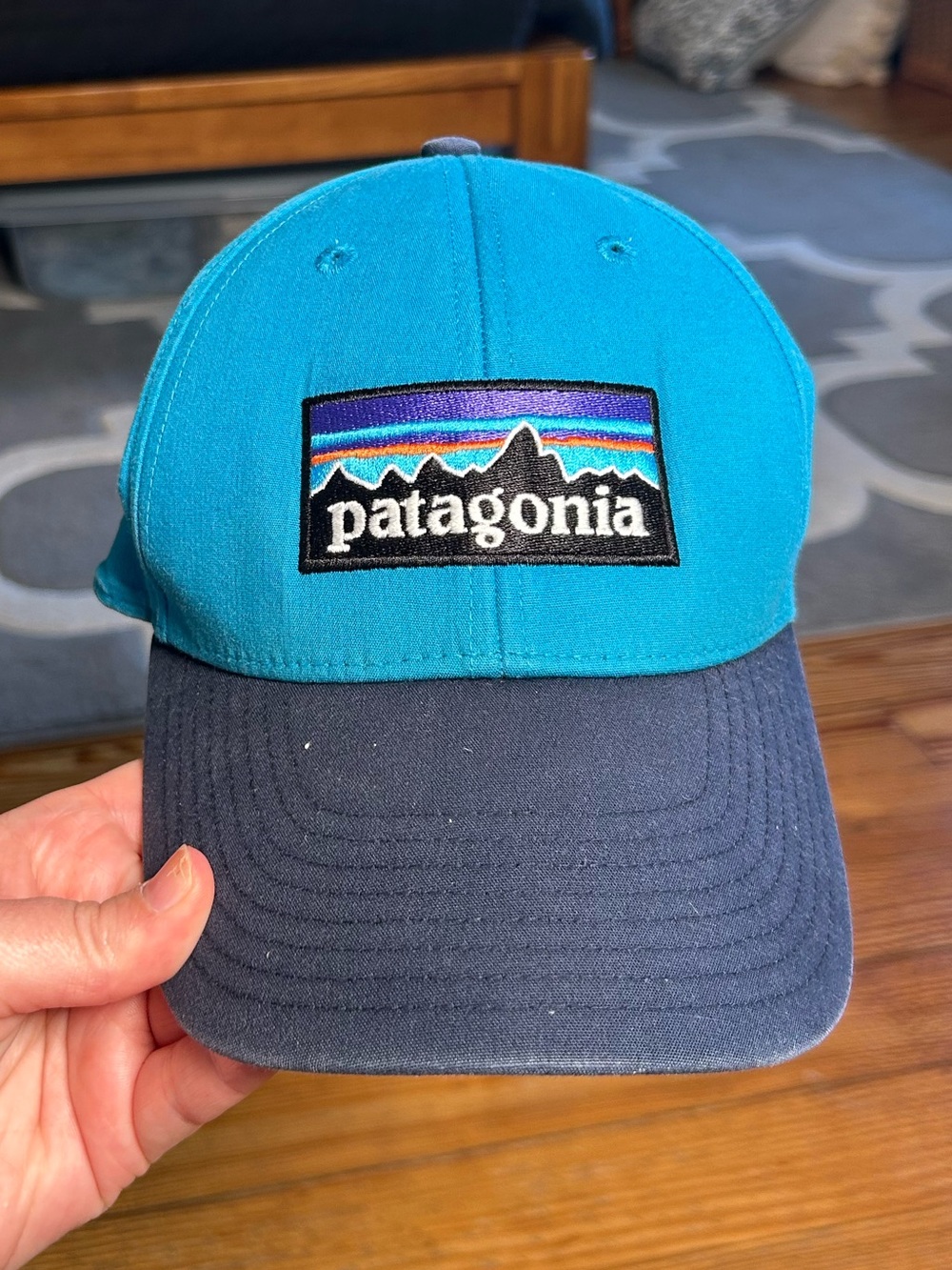 Patagonia Blue & Navy Classic Logo Baseball Cap from Vail Store